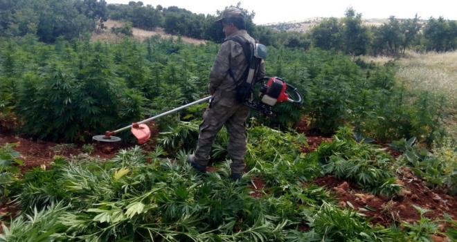 Diyarbakır Kırsalında Büyük Operasyon Sürüyor