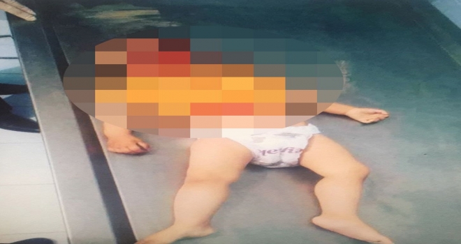 Ermistanın Katlettiği Zehra Bebek İçin Adalet Kampanyası Başlatıldı