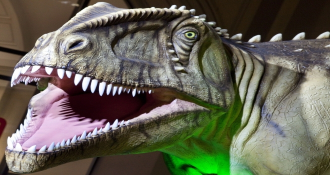 81 Milyon Yıllık Dinozor Dişleri Bulundu