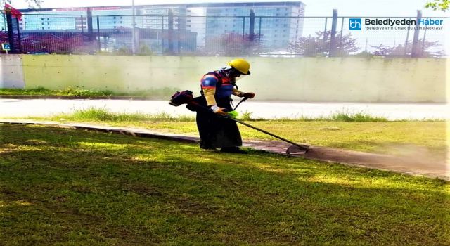 Maltepe'nin Dört Bir Yanında Bakım Mesaisi