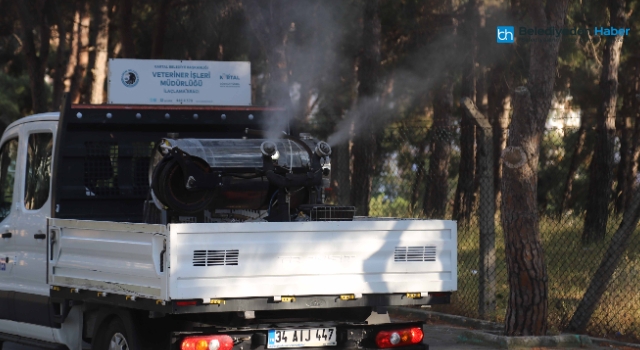 KARTAL’DA VEKTÖRLE MÜCADELE VE İLAÇLAMA HİZMETLERİ DEVAM EDİYOR