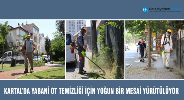 KARTAL’DA YABANİ OT TEMİZLİĞİ İÇİN YOĞUN BİR MESAİ YÜRÜTÜLÜYOR