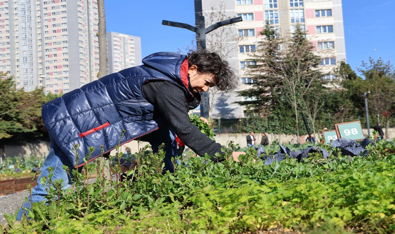 Ataşehir Belediyesi Kent Bostanları Başvurularını Duyurdu
