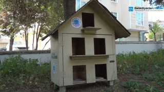 SOKAĞA ATILAN YAVRU KEDİLER SICAK YUVASINA KAVUŞTU