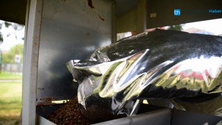 TUZLA'DA TAM KAPANMADA SOKAK HAYVANLARI UNUTULMADI