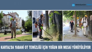 KARTAL’DA YABANİ OT TEMİZLİĞİ İÇİN YOĞUN BİR MESAİ YÜRÜTÜLÜYOR