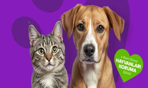 “Satın Alma, Sahiplen” Ataşehir’de Hayata Geçiyor